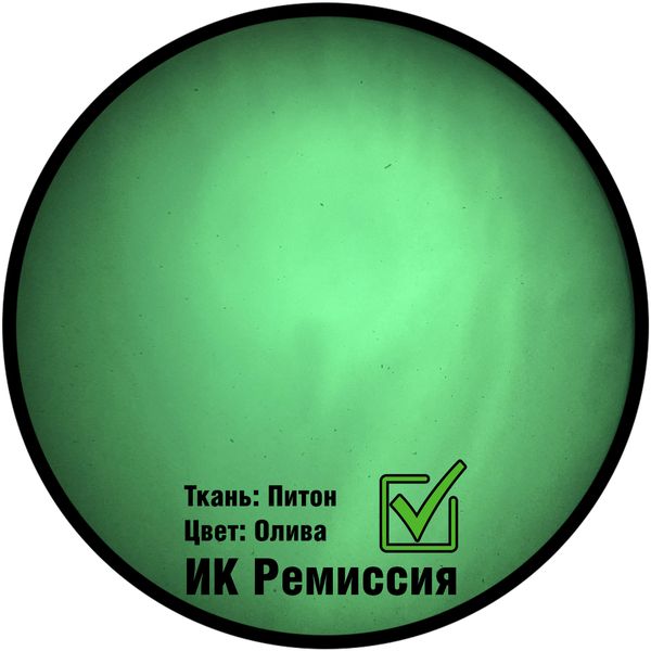 Футболка влагоотводящая "Игуана"